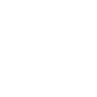 Personal Advisory & Project Guidance - Projektfachlich versiert & Projektkrisen erprobt